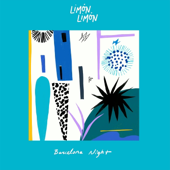 Barcelona Night (kryptogram Remix)