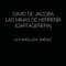 Las minas de herreria (Cartagenera) - David de Jacoba lyrics