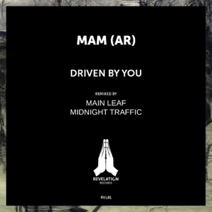 Driven by You - Single