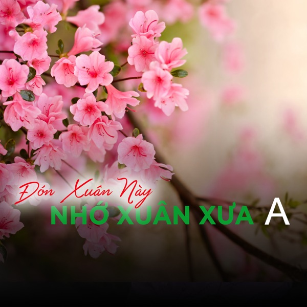 Đón Xuân Này Nhớ Xuân Xưa A