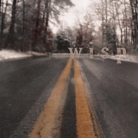 Album cover for Wisp (And You're Gone) by Wandermind