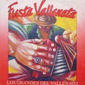 Fiesta Vallenata vol. 18 1992 artwork