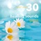 Calmness - Green Nature SPA lyrics