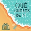 Qué Quieres De Mi by WATAKA iTunes Track 1