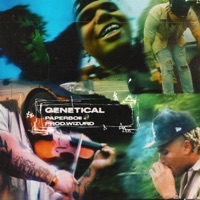 Genetical - Paperboii