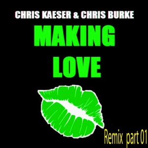 Making Love (feat. Chris Burke) [Funkaholic Remix, pt. 1] - Single