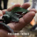 Precious Things