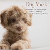 Dog Music : Ultimate Pet Relaxation Therapy to Take Your Doggy Through a Classical Calming Journey artwork