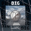 Dig - Single