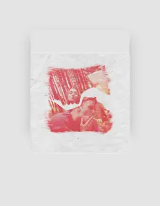 收听 Ninja Gear、观看音乐视频、阅读小传、查看巡演日期等 ！