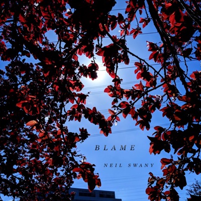 Blame - Single