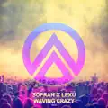 Waving Crazy (Extended Mix)