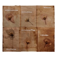 Canção do Amor Impossível (feat. Guinga & Antonio Cicero) - Single - clemente