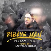 Zibaye Man (feat. Amirmilad Nikzad) [Remix] artwork