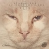 The Unknown Song (Coyu Edit) cover art