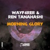 Wayf4rer - Morning Glory