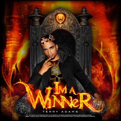 I'm a Winner - Single