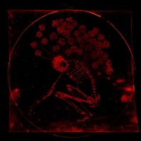 Self - Single - Raphael Sole