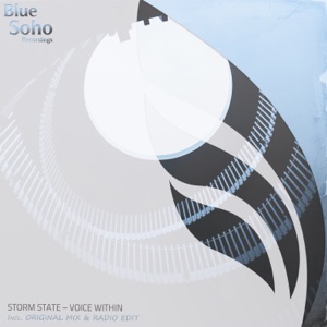 Voice Within - Single
