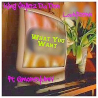 What You Want (feat. LadyRenn & Gmoneydmv) - Single - King Styles Da Don