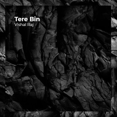 Vishal Raj - Tere Bin