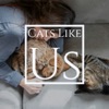 Cats Like Us