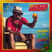 Raggamuffin Christmas (feat. Junior Reid & Bounty Killer) artwork