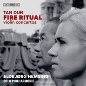 Violin Concerto "Fire Ritual": II. Andante artwork