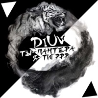 Ты пантера, я тигррр - Single - DiUv