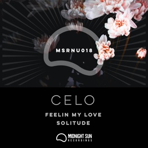 Feelin My Love / Solitude - Single