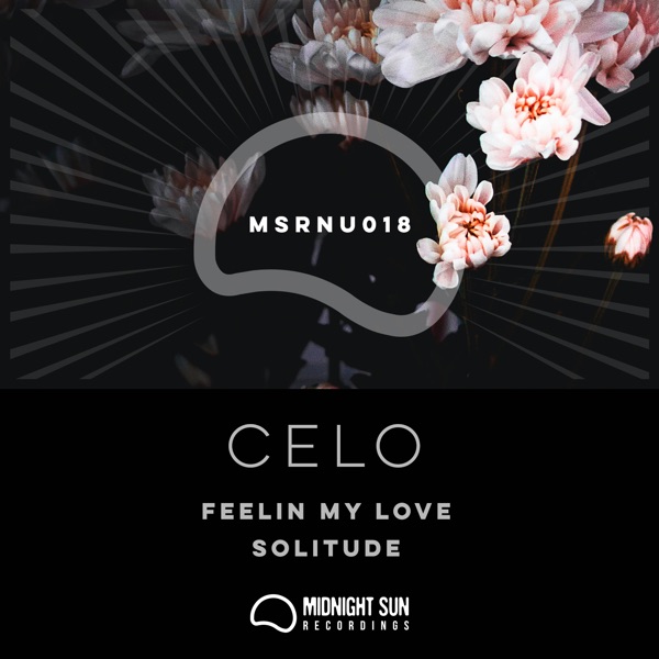 Feelin My Love / Solitude - Single