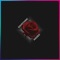 Teddy G - Alio lyrics