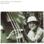 David Darling & The Wulu Bunun - Wulu Dream