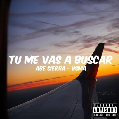 Tu Me Vas a Buscar (feat. Iisma) - Single