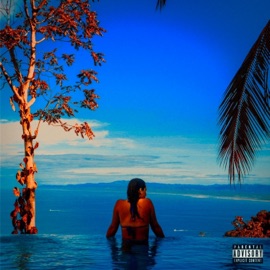 Benji Jackson (feat. Mellyx) IIM