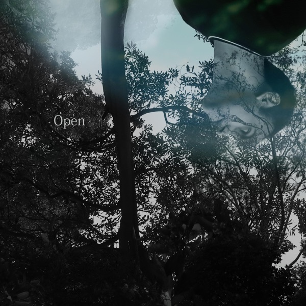 Open (feat. Areni Agbabian, Linus Klausenitzer & Dirk Verbeuren)