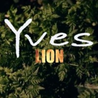 Lion - Single - Yves Hdz