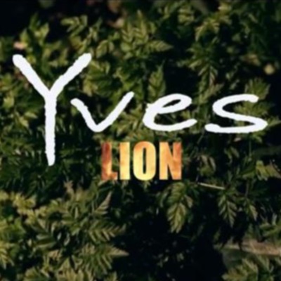 Lion - Single