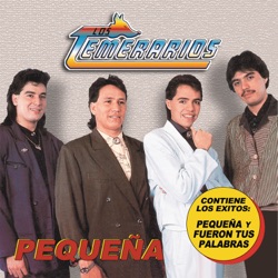 Los Temerarios - Volveré de Mi Víaje