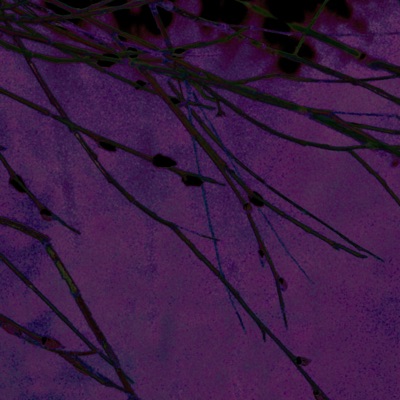 Psyche - Single
