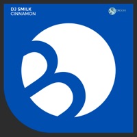 Cinnamon - Single - DJ Smilk