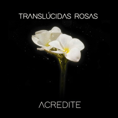 Translúcidas Rosas - Single