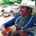 MAESTRO DE GALILEA