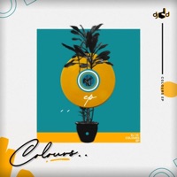 Colours - DJ 1d