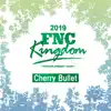 Cherry Bullet - Really Really (Live 2019 FNC Kingdom -Winter Forest Camp- at Makuhari International Exhibition Halls, Chiba)