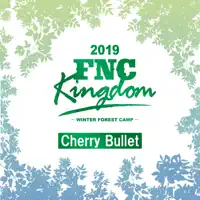 Really Really (Live 2019 FNC Kingdom -Winter Forest Camp- at Makuhari International Exhibition Halls, Chiba) — Cherry Bullet