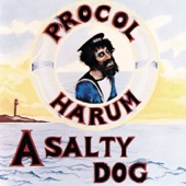 A Salty Dog artwork