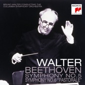 Symphony No. 5 in C Minor, Op. 67: I. Allegro con brio artwork