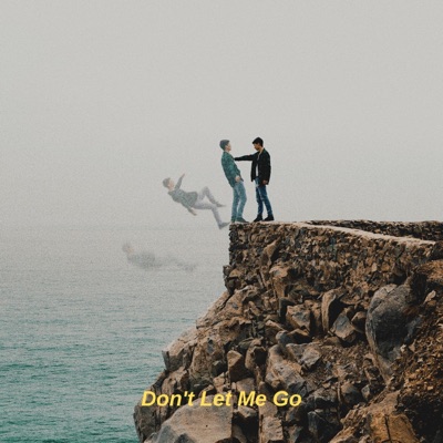 Don't Let Me Go - Single