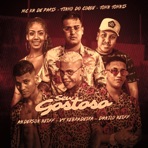 Seu Gostoso - Single